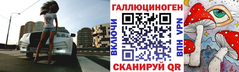Купить где  Дятьково  Галлюциногенные грибы Cubensis 
